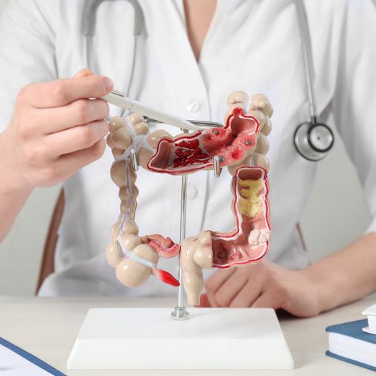 Die Verbindung zwischen Autismus/ADHS und dem Leaky-Gut-Syndrom
