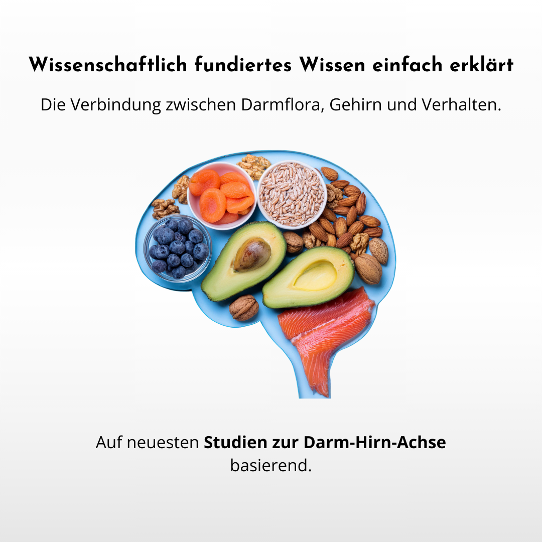 Darm-Gehirn-Guide für Kids